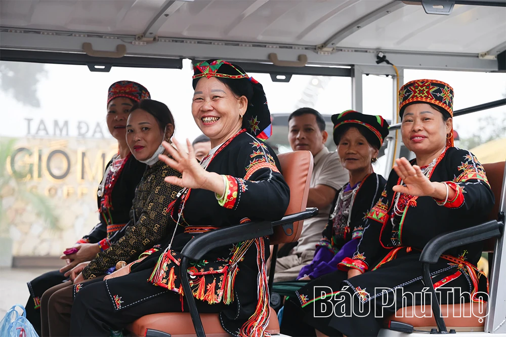 Du lịch Tam Đảo 2026: Hấp dẫn từ cảnh quan đến dịch vụ