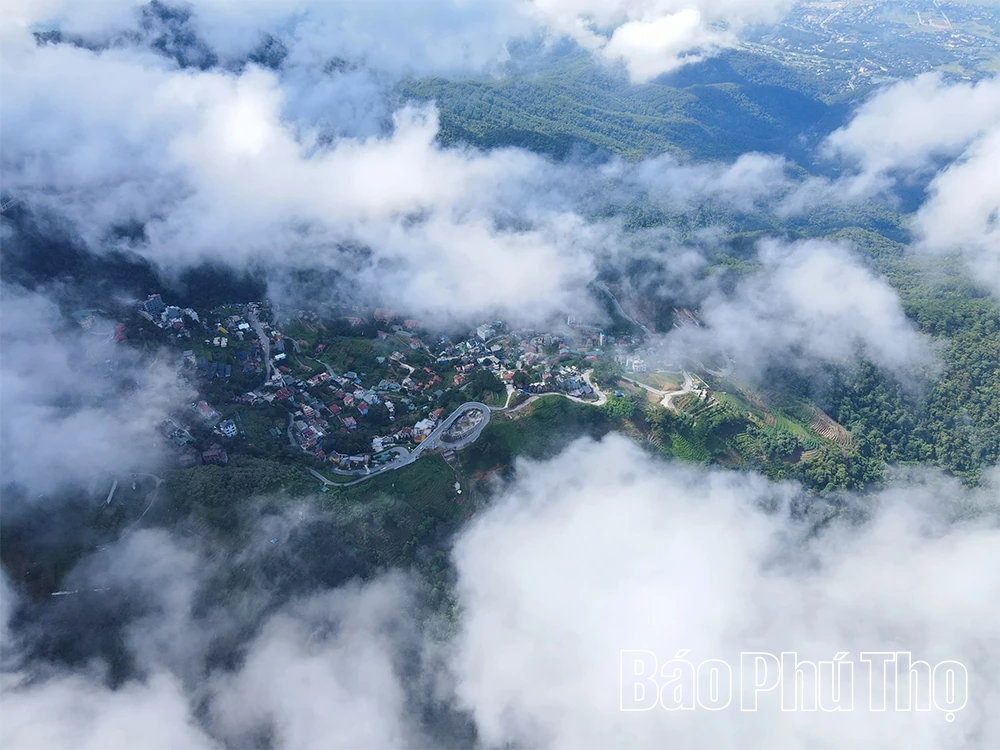 Du lịch Tam Đảo 2026: Hấp dẫn từ cảnh quan đến dịch vụ