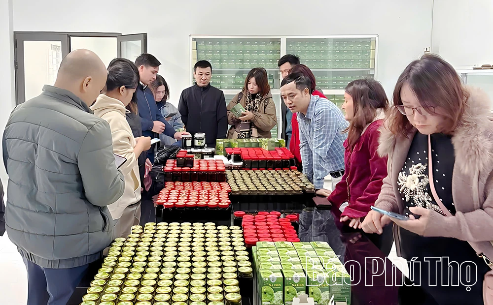 “Đánh thức” giá trị dược liệu bản địa