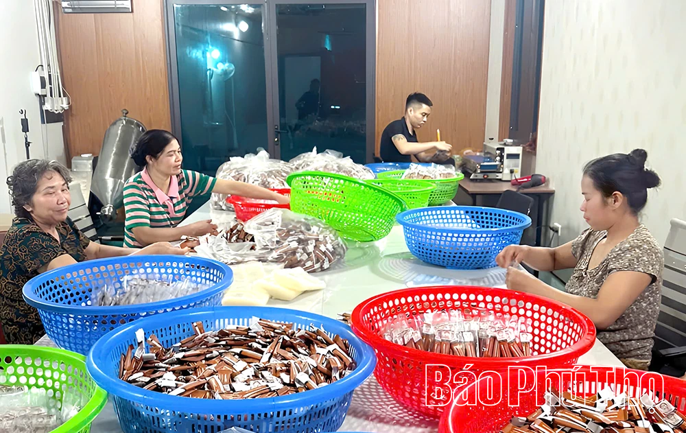 “Đánh thức” giá trị dược liệu bản địa