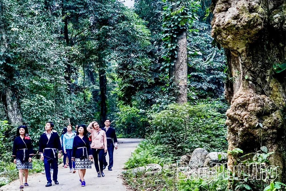 Tăng cường phòng, chống tội phạm về đa dạng sinh học