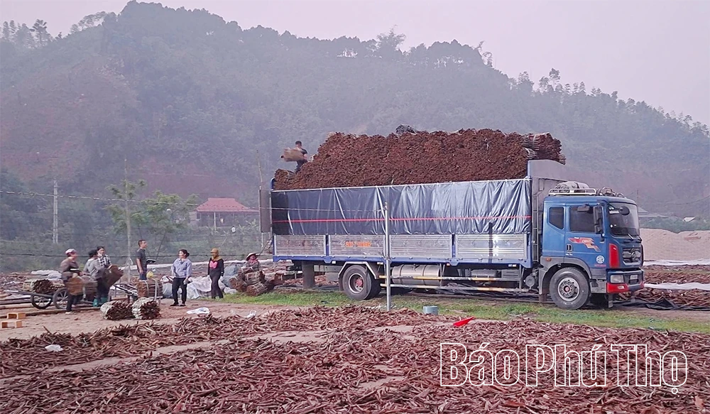 (19,28,88)- “Luồng gió mới” thay đổi diện mạo vùng cao