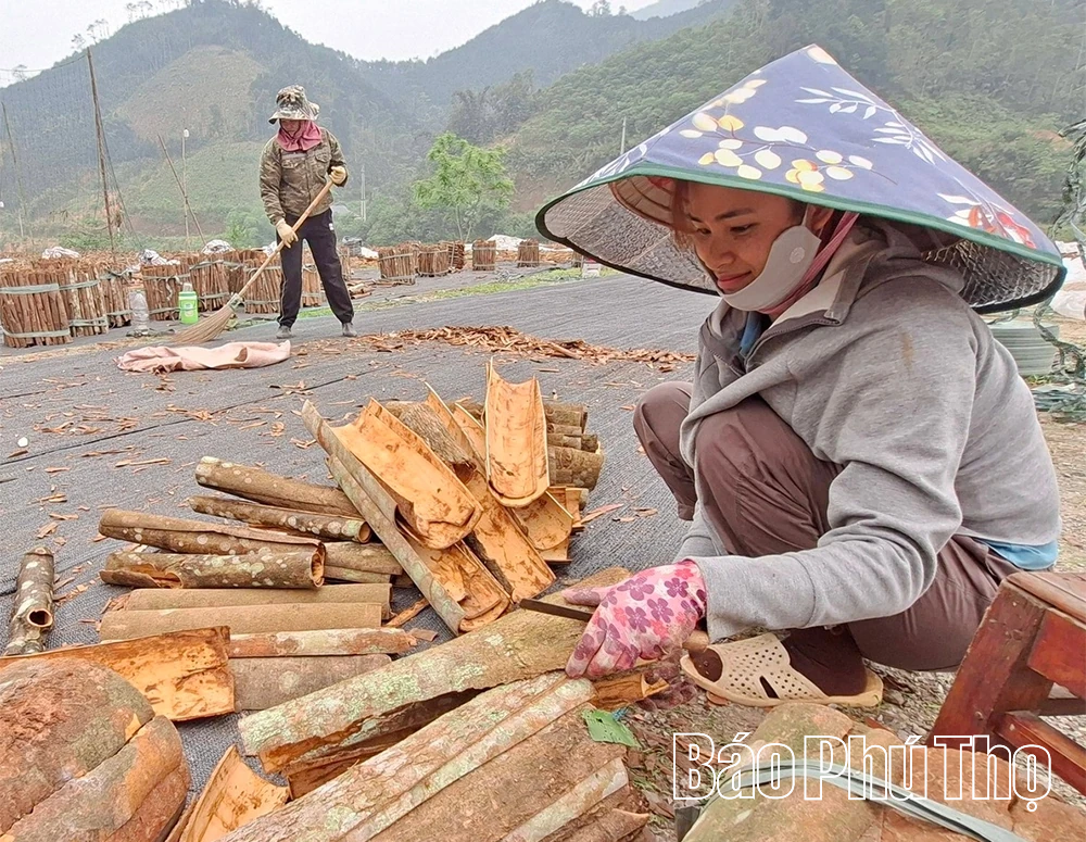 “Luồng gió mới” thay đổi diện mạo vùng cao