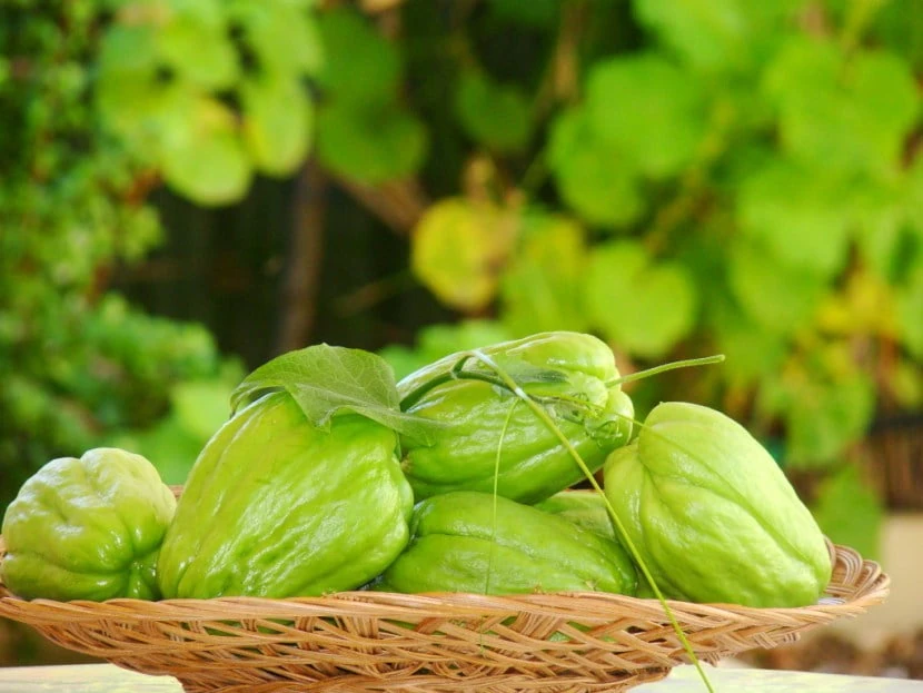 Giá cả thị trường ngày 21/4/2026