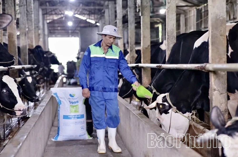 Phú Thọ xây dựng 207 chuỗi cung ứng thực phẩm nông, lâm thủy sản an toàn