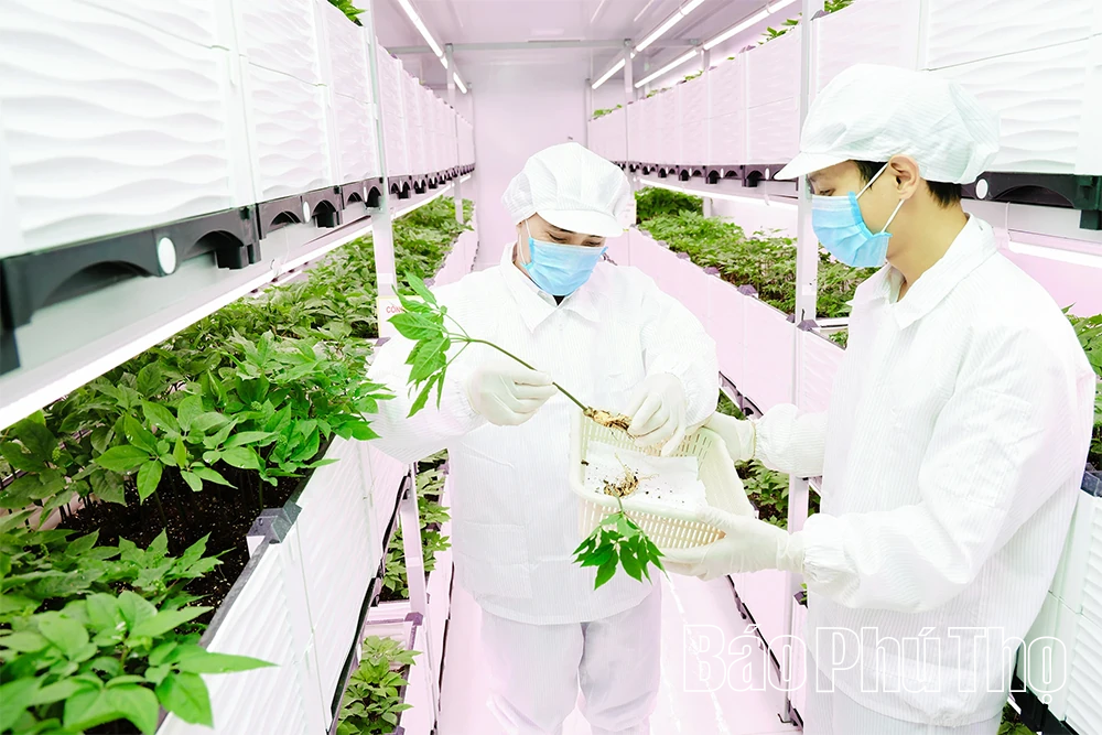 Bài 3: Tiên phong trong chuyển đổi số và đổi mới sáng tạo