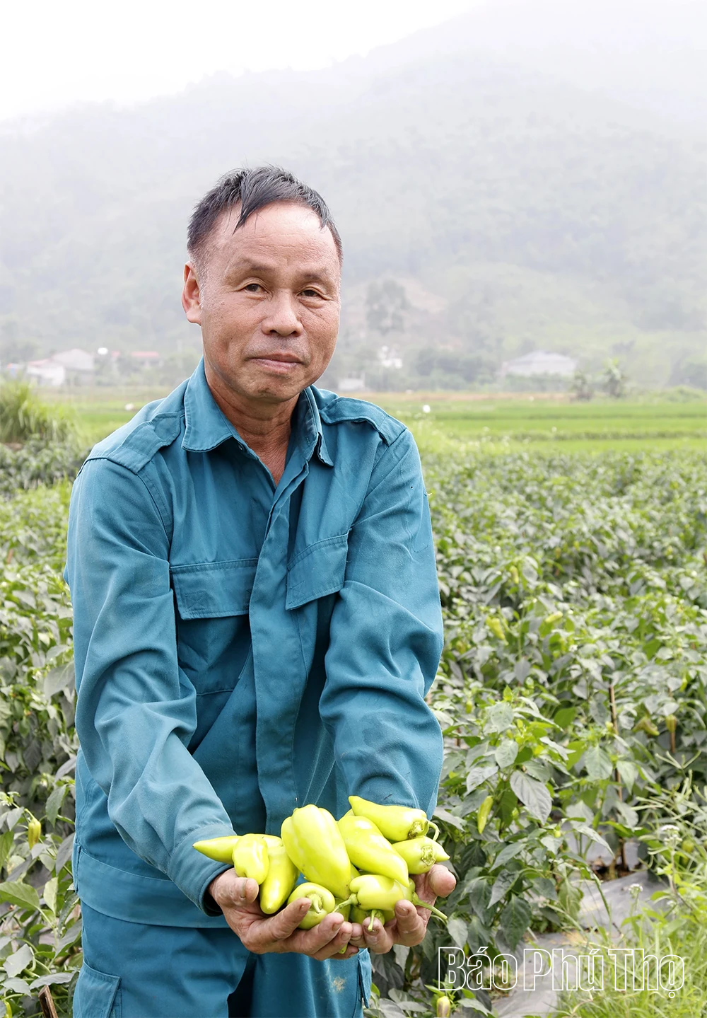 HTX Dịch vụ Nông nghiệp Hưng Long - Liên kết để phát triển