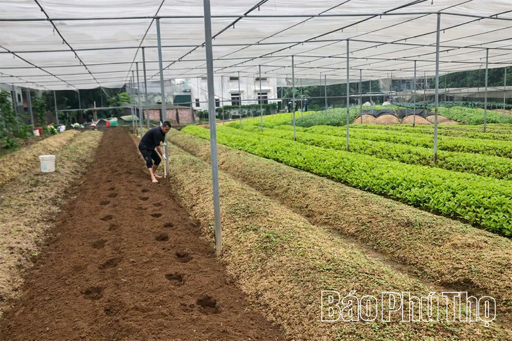 Bệ đỡ giúp nông dân vươn lên phát triển kinh tế