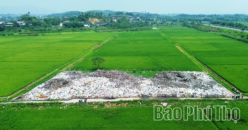 Xã Cẩm Khê kiểm tra, xử lý bãi rác thải sinh hoạt sau phản ánh của báo chí