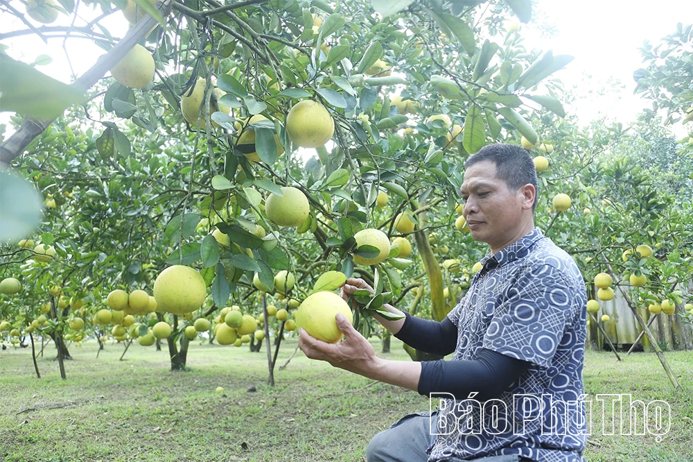 Mở đường cho phát triển bền vững