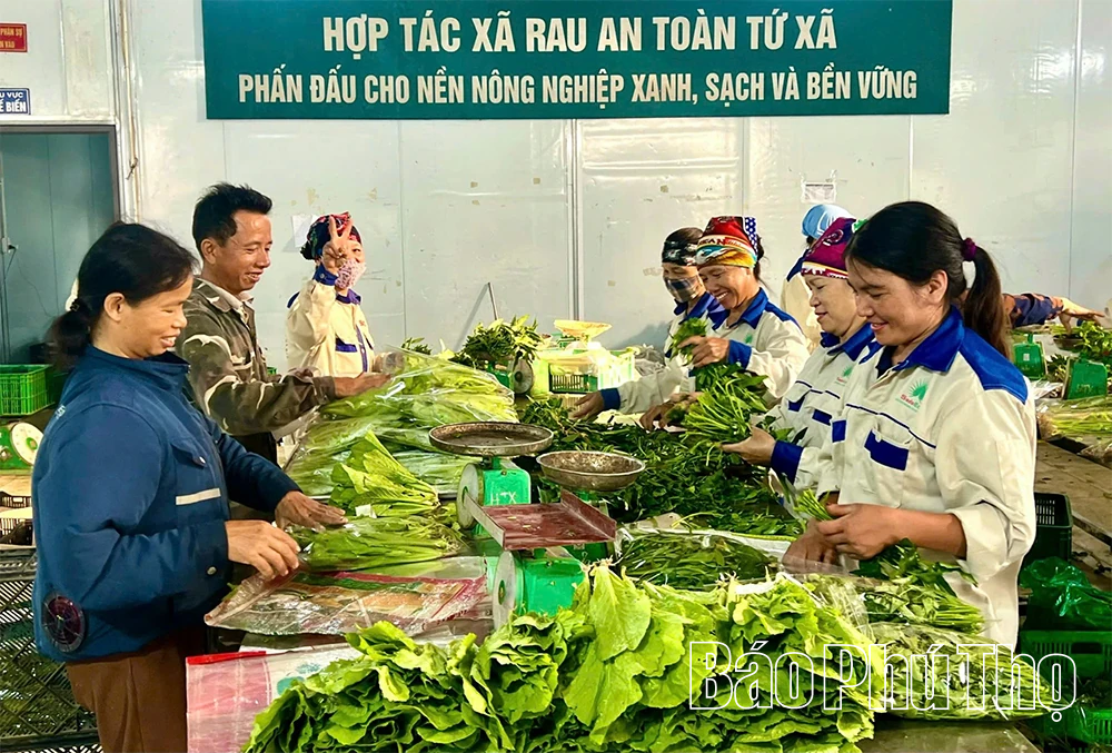 Kỳ II: Nông nghiệp đổi mới, nông thôn khởi sắc