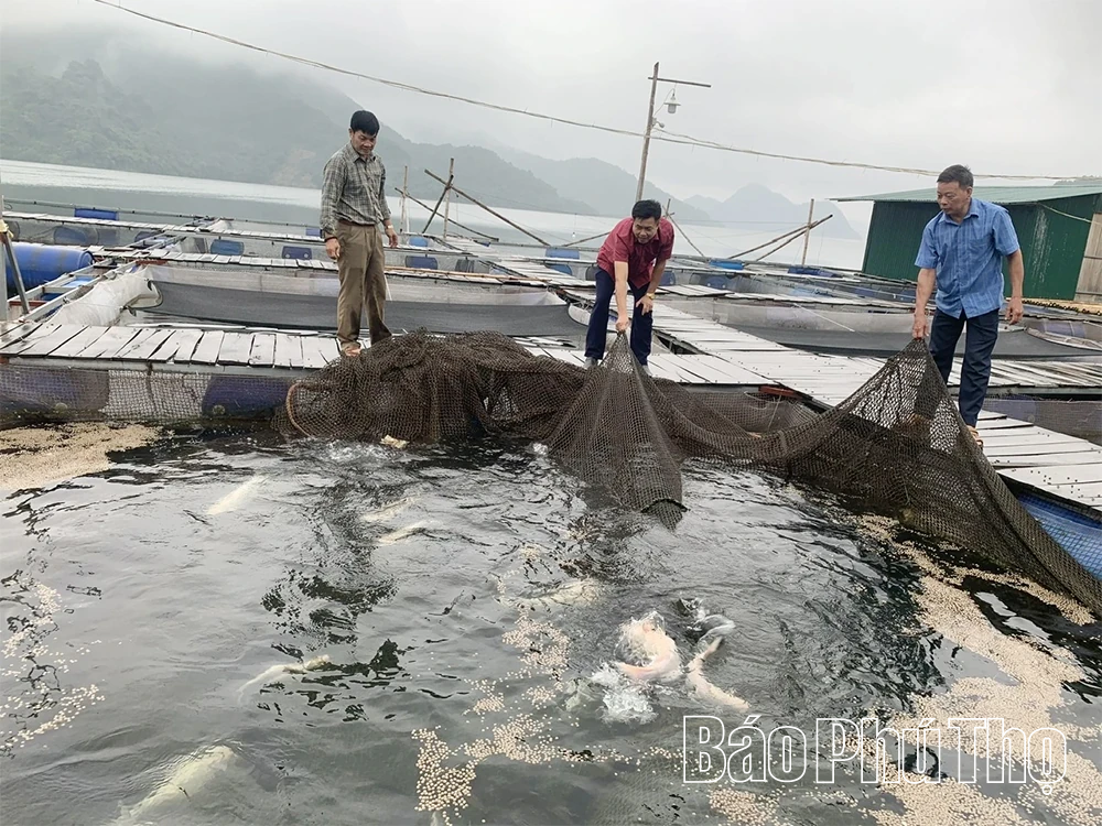 Kỳ II: Nông nghiệp đổi mới, nông thôn khởi sắc