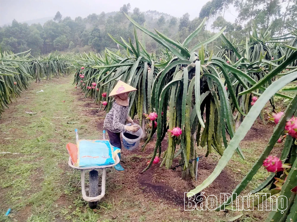 Kỳ II: Nông nghiệp đổi mới, nông thôn khởi sắc