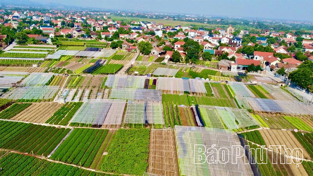 Kỳ II: Nông nghiệp đổi mới, nông thôn khởi sắc