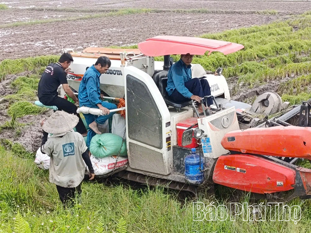 Kỳ III: Động lực mới cho “tam nông”
