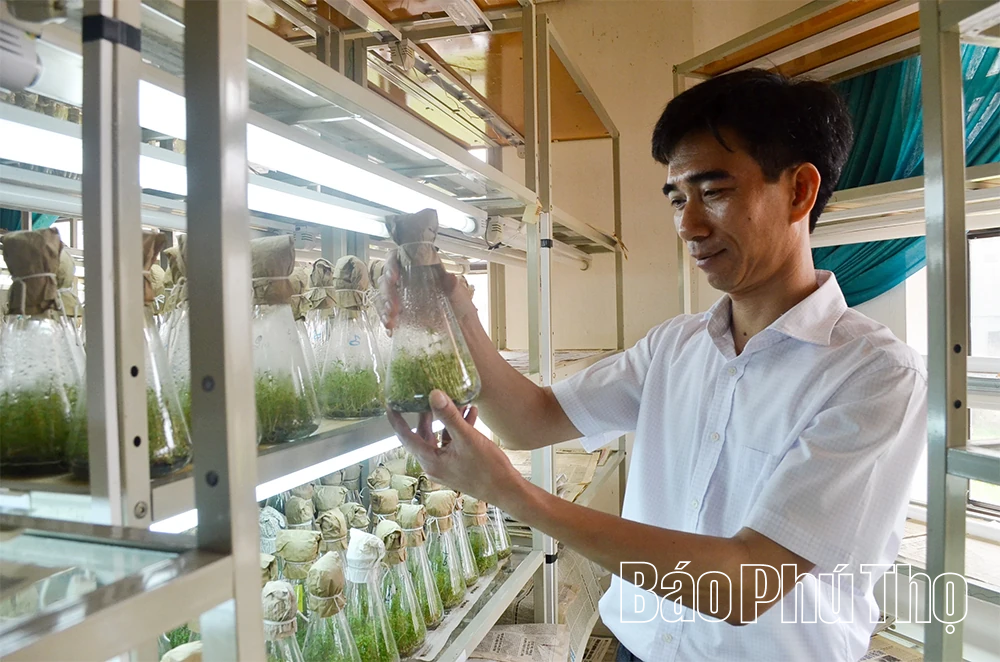 Thúc đẩy hệ sinh thái doanh nghiệp khoa học và công nghệ