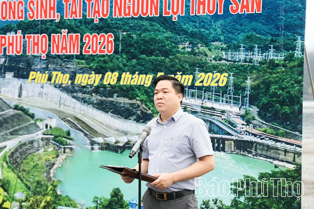 Thả hơn 3 tấn cá giống tái tạo nguồn lợi thủy sản hồ Hòa Bình