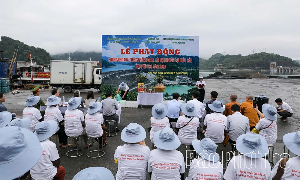 Thả hơn 3 tấn cá giống tái tạo nguồn lợi thủy sản hồ Hòa Bình