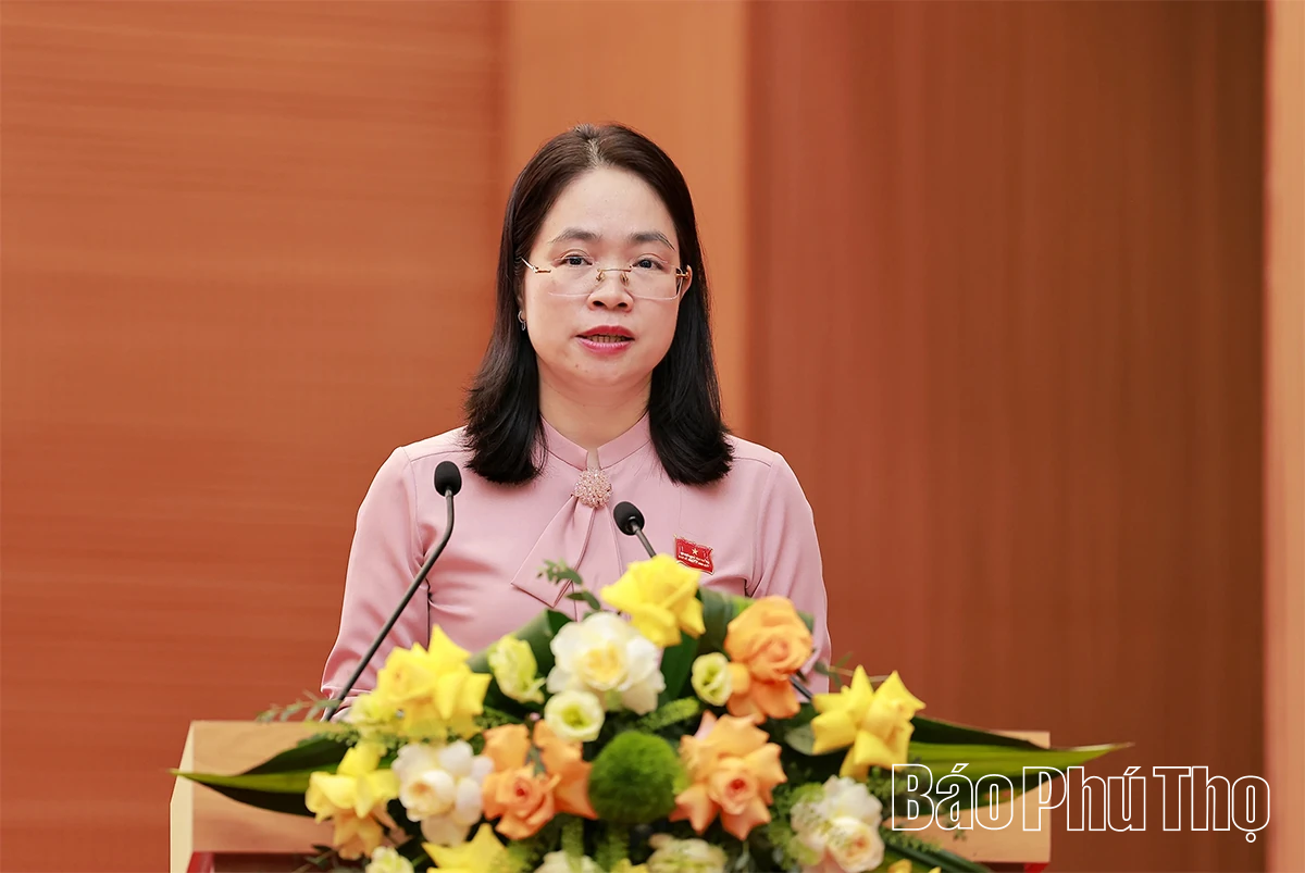 Đại biểu HĐND tỉnh thảo luận, làm rõ các dự thảo nghị quyết trình tại Kỳ họp thứ Hai, HĐND tỉnh khóa XX