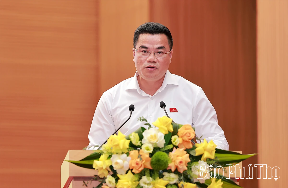 Đại biểu HĐND tỉnh thảo luận, làm rõ các dự thảo nghị quyết trình tại Kỳ họp thứ Hai, HĐND tỉnh khóa XX