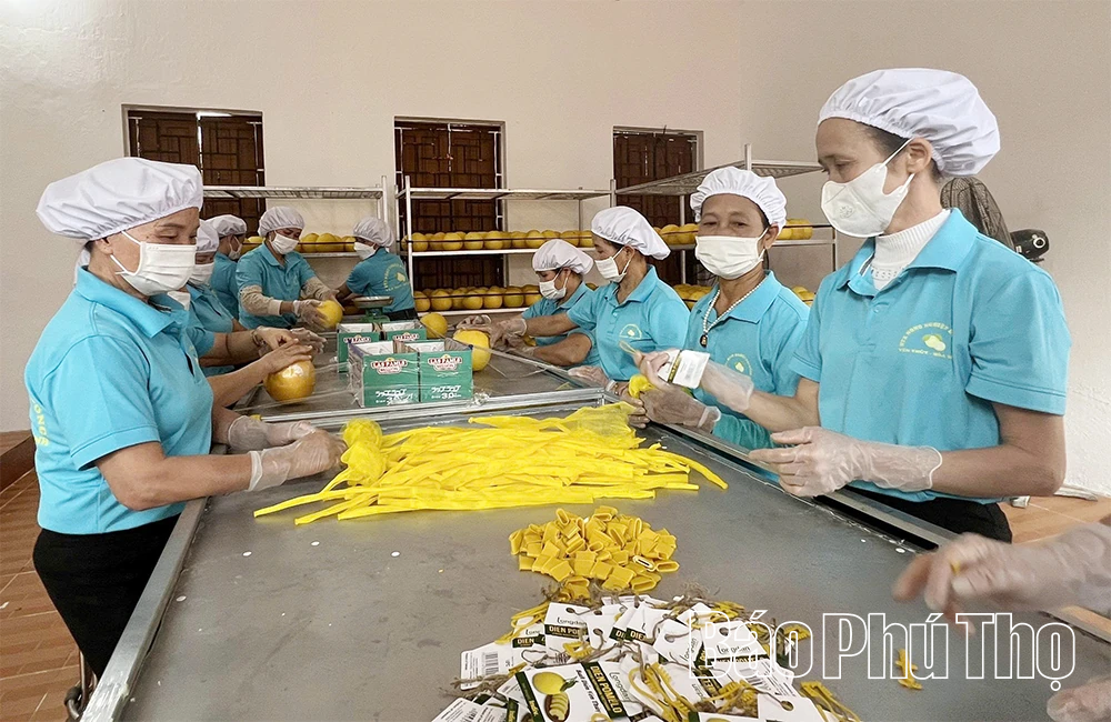 Chuỗi liên kết giá trị - giải pháp phát triển nông nghiệp bền vững