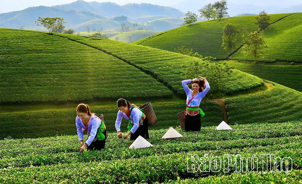 Chuỗi liên kết giá trị - giải pháp phát triển nông nghiệp bền vững