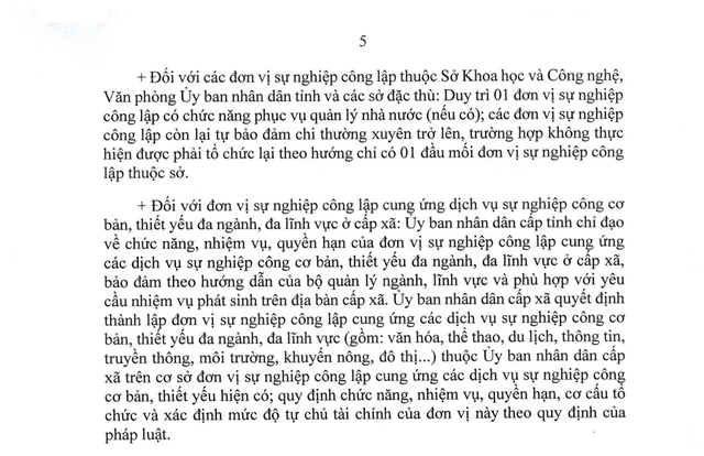 Chỉ đạo mới nhất của Chính phủ về sắp xếp đơn vị sự nghiệp, Ban Quản lý dự án, trường học...