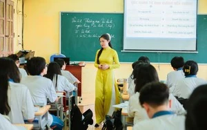 Chỉ đạo mới nhất của Chính phủ về sắp xếp đơn vị sự nghiệp, Ban Quản lý dự án, trường học...