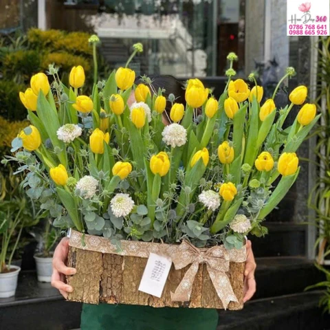 Shop Hoa Đẹp 360 Hoa Tulip Tươi Và Bó Hoa Sang Trọng Giao Nhanh 2H