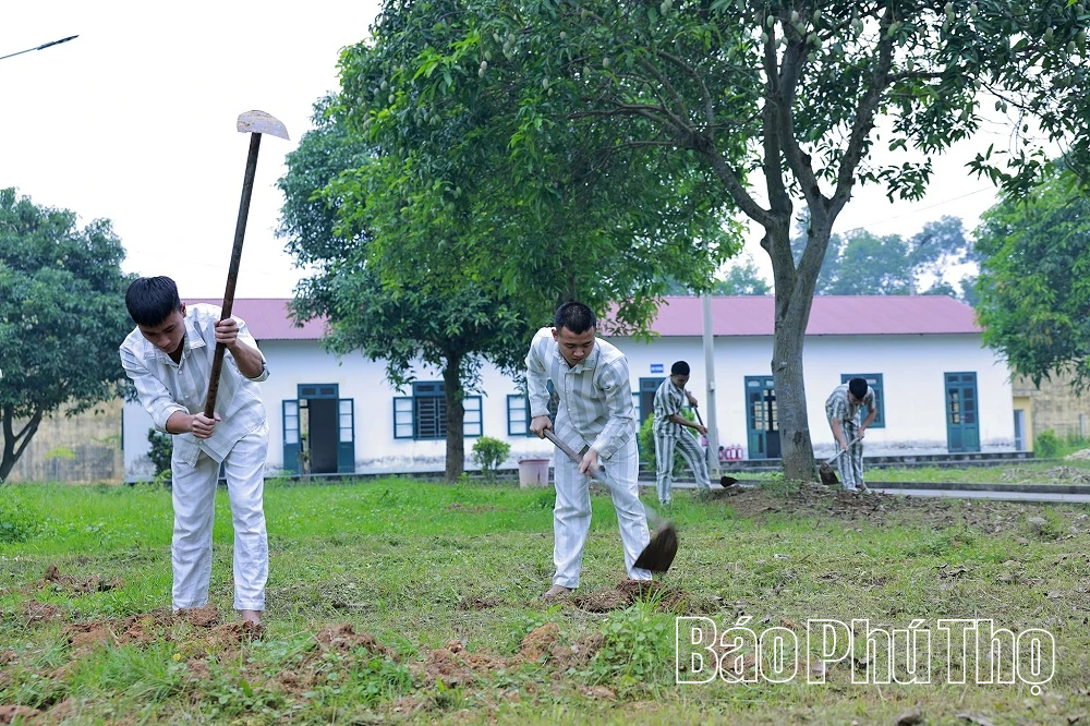 Tìm lại “đường về”