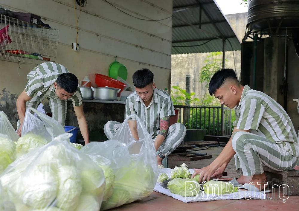 Tìm lại “đường về”