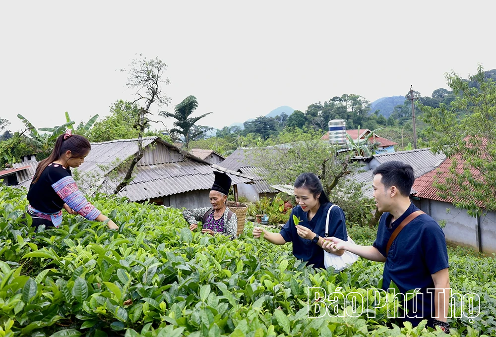 Vùng cao khắc ghi lời Người