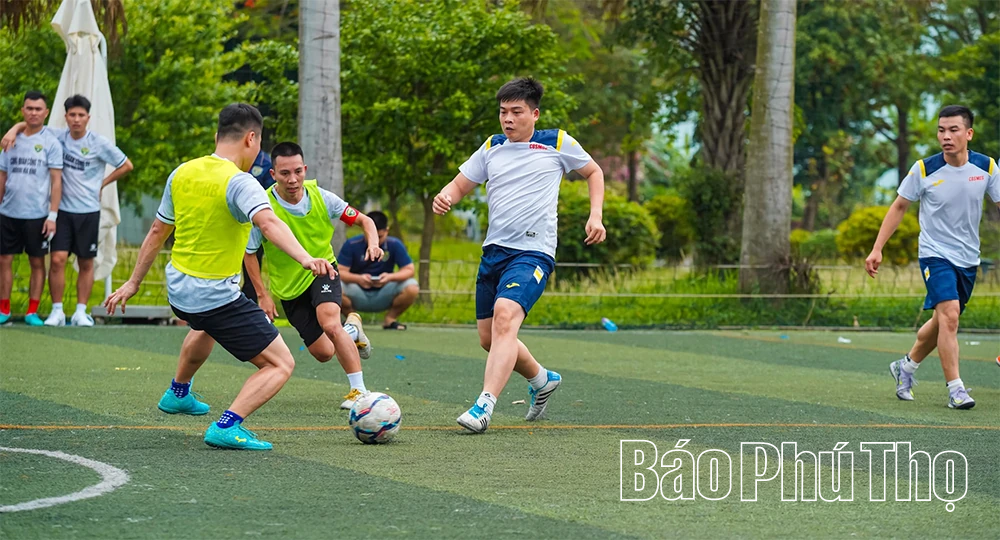 Tháng Công nhân 2026: Đẩy mạnh các hoạt động thể thao từ cơ sở