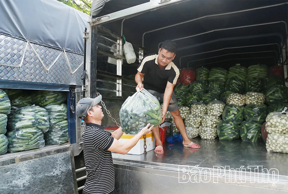 Hợp tác xã An Hòa - điểm sáng thi đua phát triển nông nghiệp bền vững