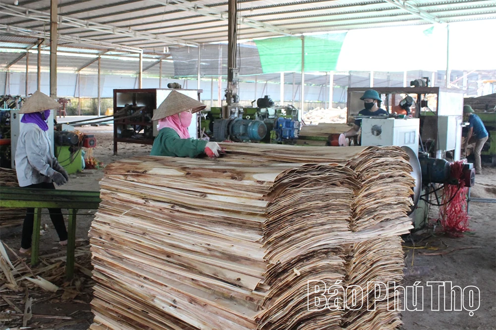 Khơi thông động lực phát triển kinh tế tư nhân từ Nghị quyết 68-NQ/TW