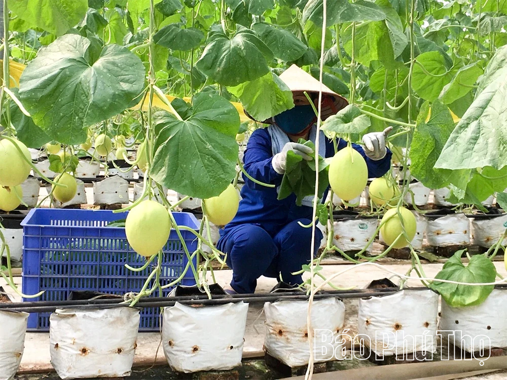 Khơi thông động lực phát triển kinh tế tư nhân từ Nghị quyết 68-NQ/TW