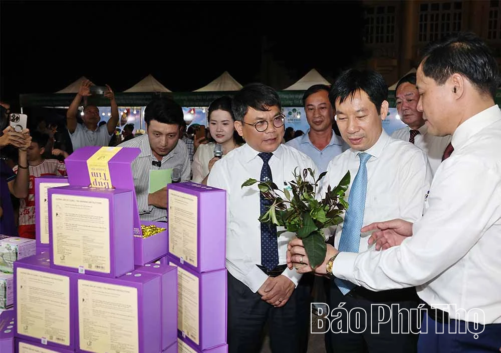 Ngọt thơm vị chè Đất Tổ
