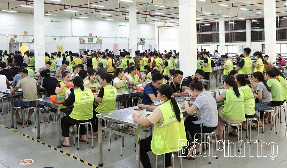 Tăng cường kiểm soát an toàn thực phẩm vì sức khỏe cộng đồng