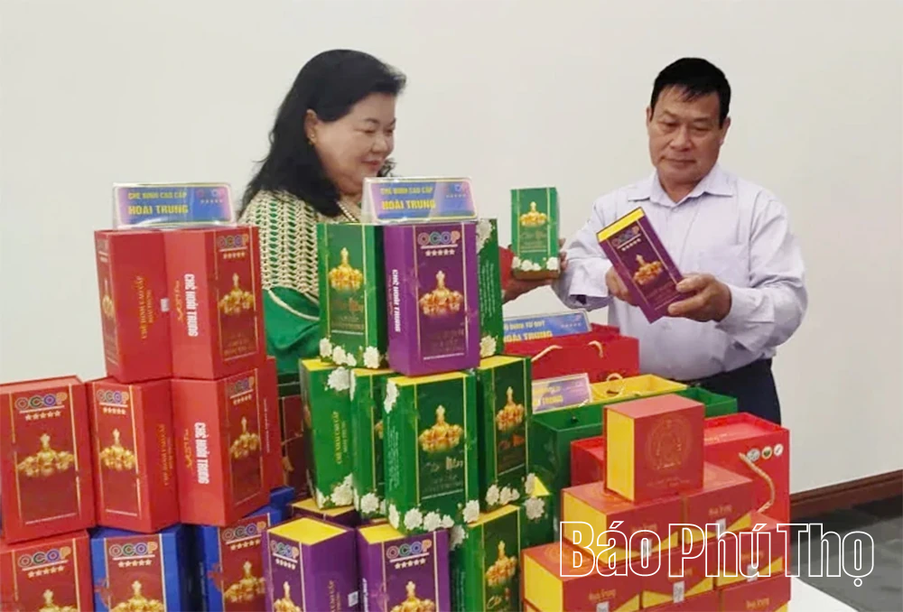 Tăng cường mối liên kết sản xuất giữa kinh tế tập thể và kinh tế tư nhân