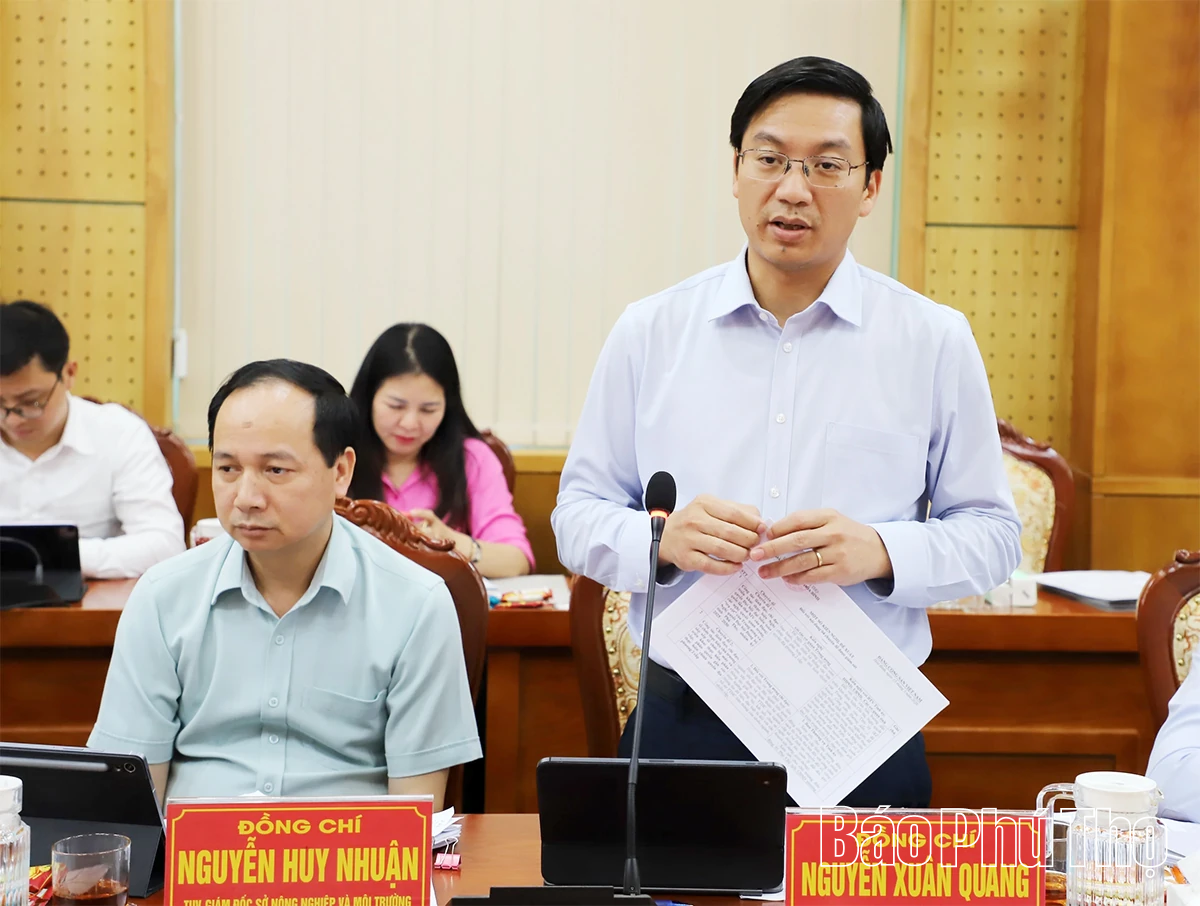 Phường Hòa Bình cần phát huy vai trò trung tâm động lực phát triển của khu vực