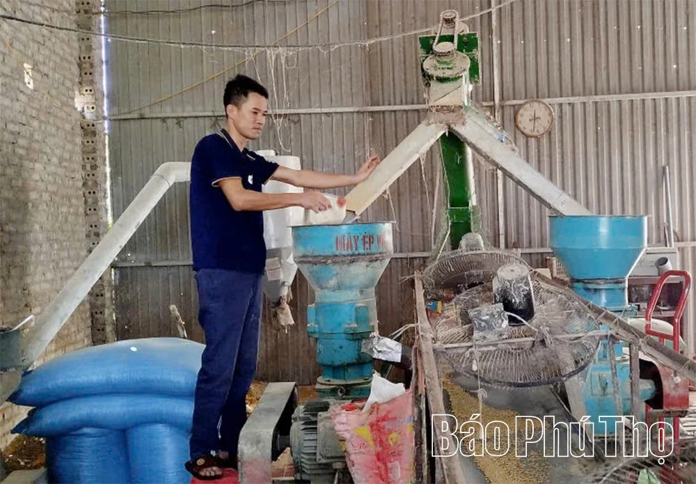 Biến phụ phẩm trồng trọt thành thức ăn chăn nuôi
