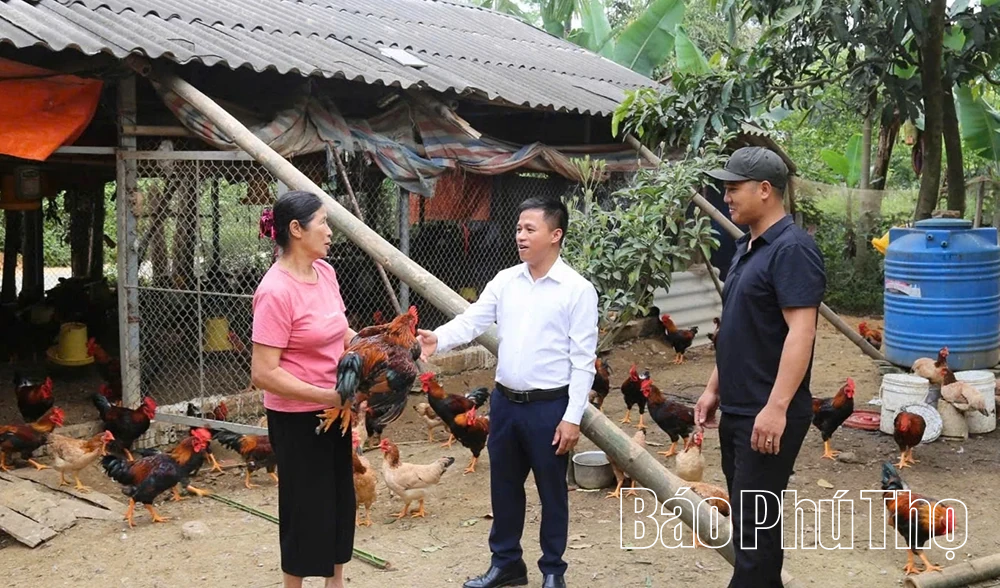 Nông dân Phú Thọ: Năng động để làm giàu trên chính mảnh đất quê hương