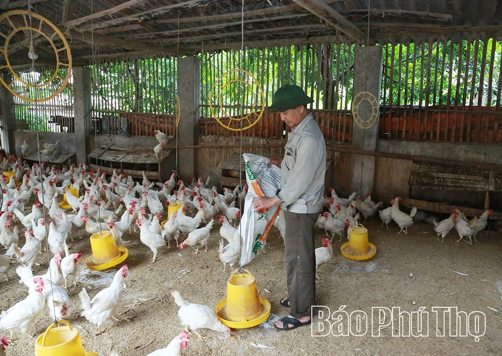 Hội Nông dân xã Vĩnh Hưng học và làm theo Bác bằng việc làm thiết thực