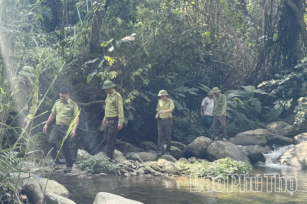 Giữ màu xanh Tam Đảo trước nguy cơ cháy rừng mùa nắng nóng