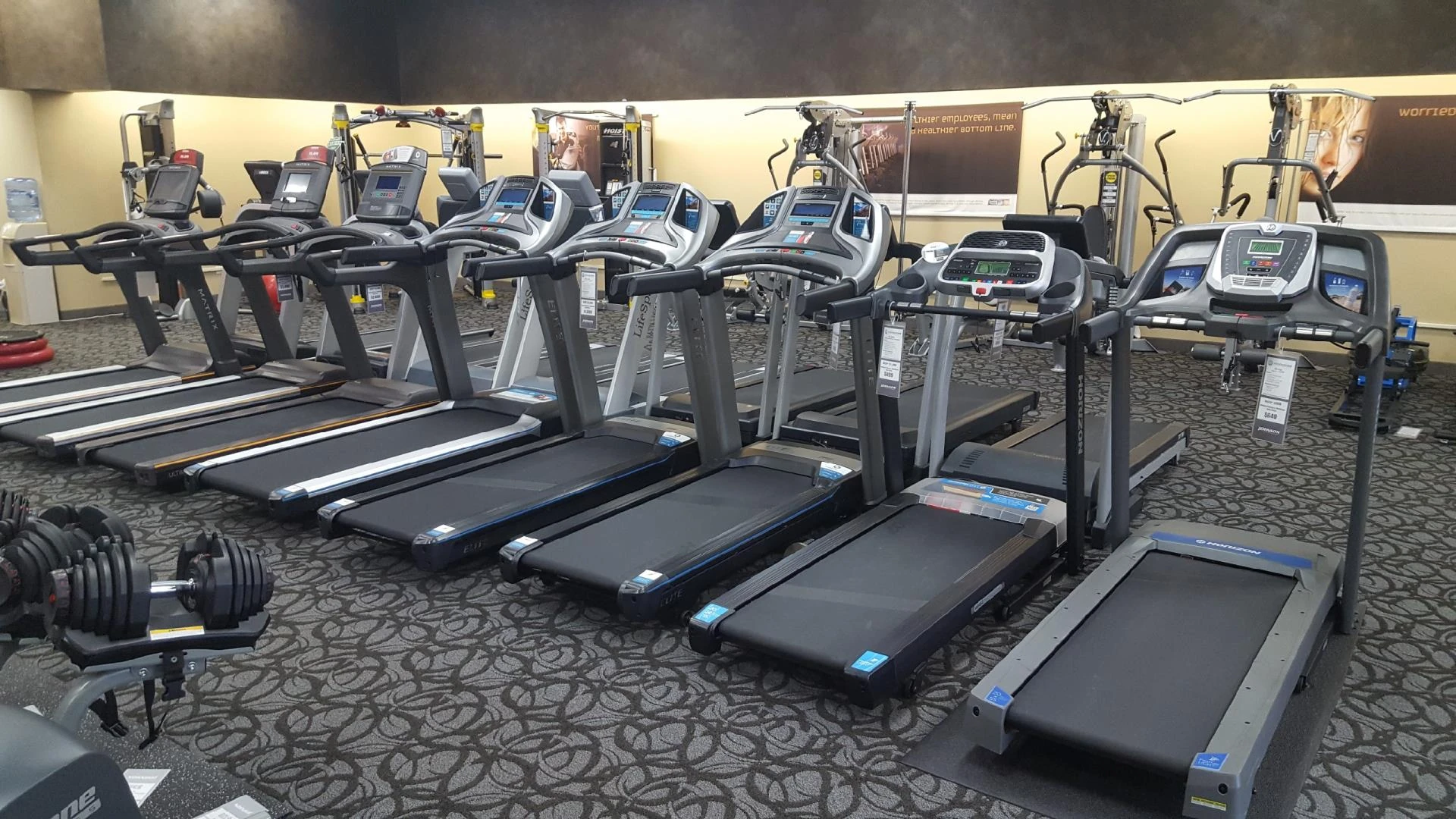 Vì sao Johnson Fitness trở thành lựa chọn uy tín của phân khúc máy chạy bộ cao cấp tại Việt Nam?