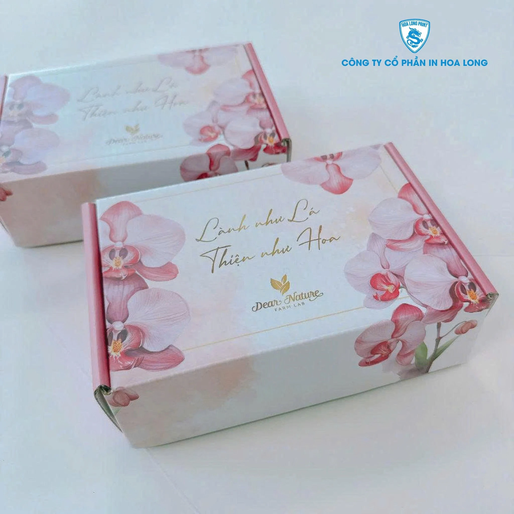Dịch vụ in hộp giấy tại Hà Nội - nhanh, đẹp, giá cạnh tranh