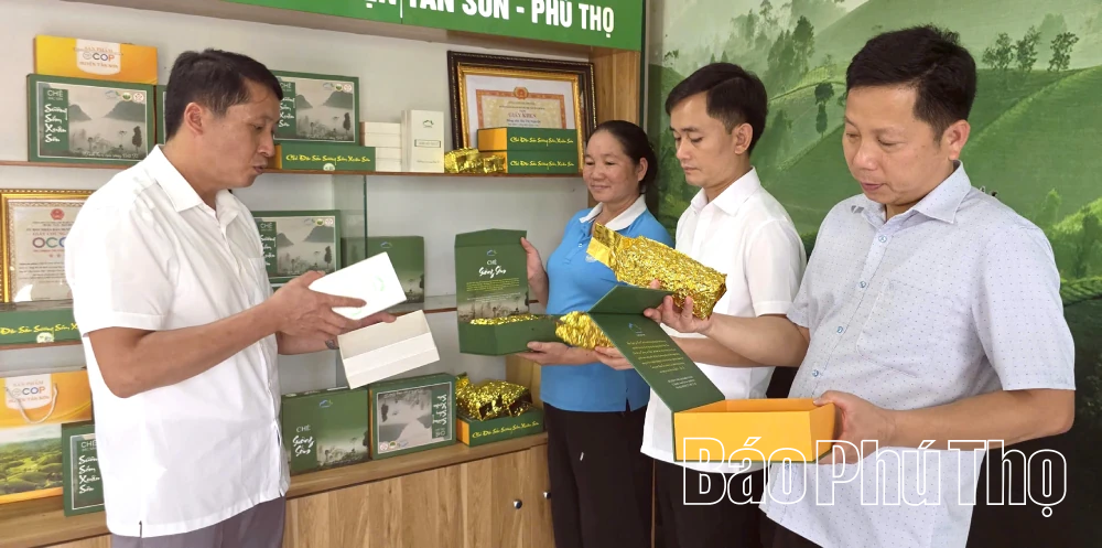 Tạo sinh kế, mở hướng thoát nghèo bền vững