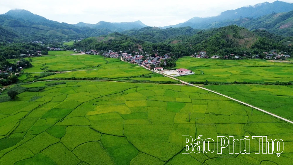Tạo sinh kế, mở hướng thoát nghèo bền vững