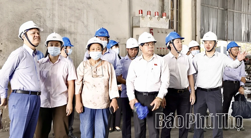 Đoàn công tác Ủy ban Khoa học, Công nghệ và Môi trường của Quốc hội khảo sát tại Khu công nghiệp Bình Xuyên