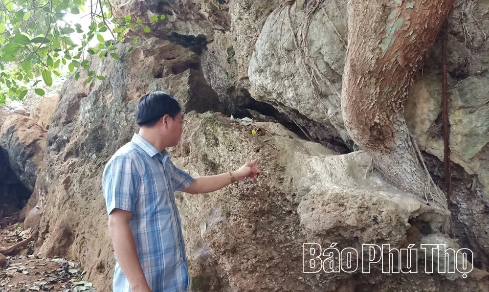 Lưu giữ Mái đá làng Vành